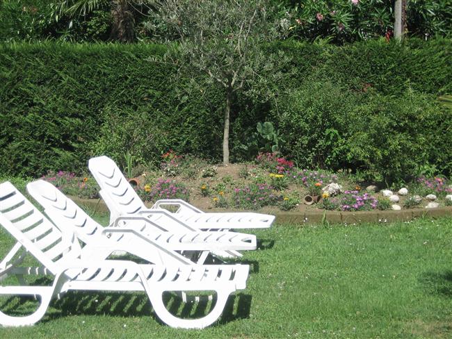 Pool with shared deck chairs