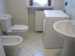 bathroom with shower and washing machine